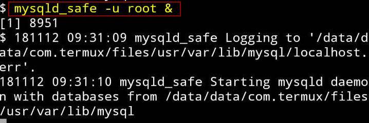 3 - Start mysql daemon on background