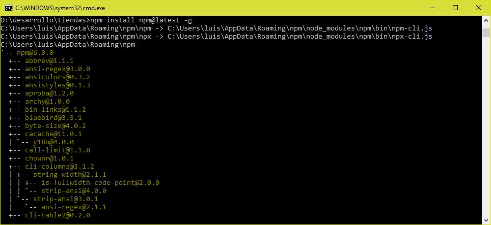 Instalando última versión de NPM
