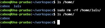 Eliminar carpeta de usuario en home - Linux Ubuntu