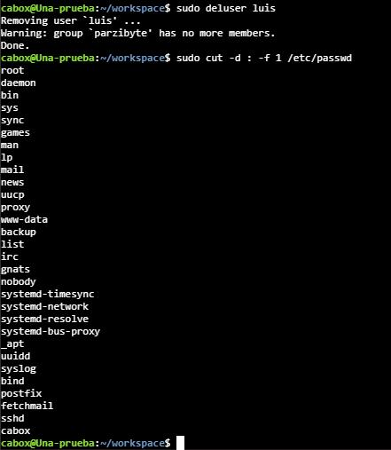 Eliminar usuario del sistema en Linux Ubuntu