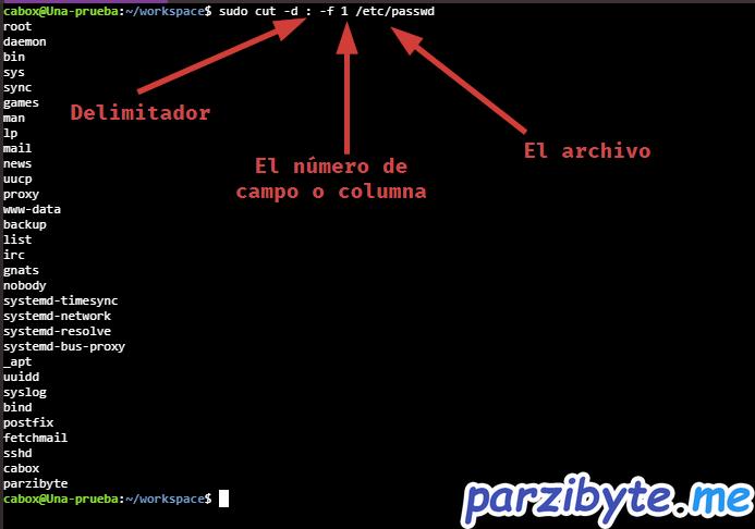 Listar únicamente los nombres de usuario en Linux Ubuntu
