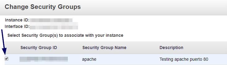 Seleccionar grupo de seguridad de Apache para instancia
