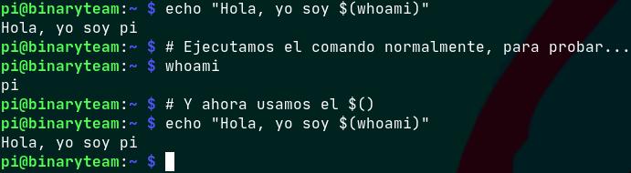 Obteniendo salida de comando en bash