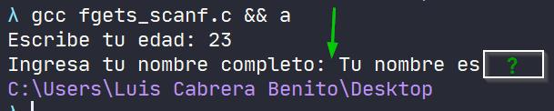 Error de scanf con fgets en C