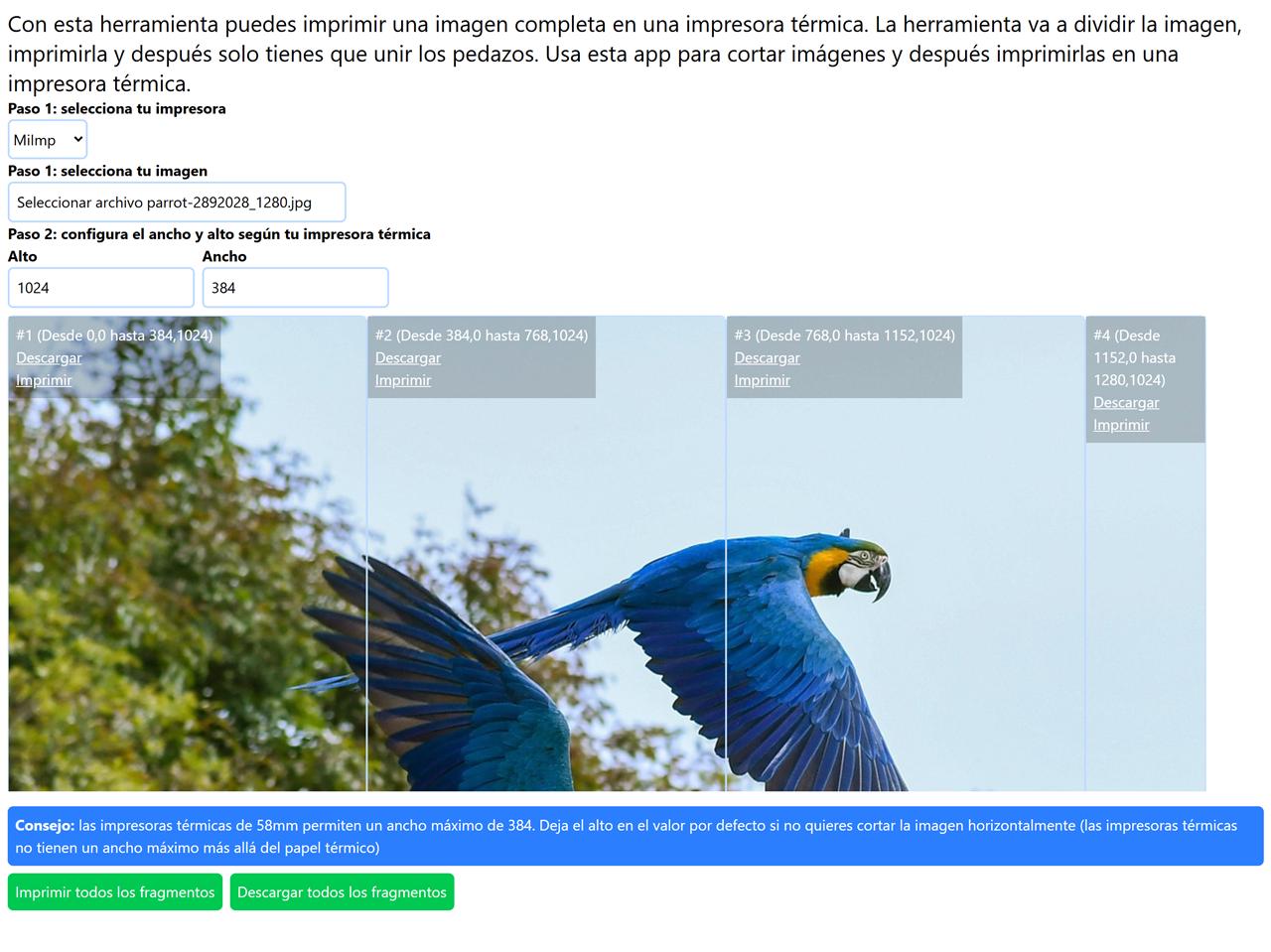 Captura de pantalla de aplicación web. Se muestra una imagen grande dividida en fragmentos con opciones para configurar el ancho y el alto de división, así como con botones para imprimir o descargar todos o cada fragmento individual