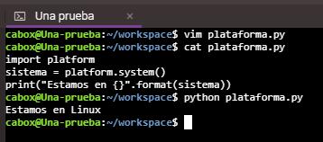 Detectar sistema operativo con Python - Linux