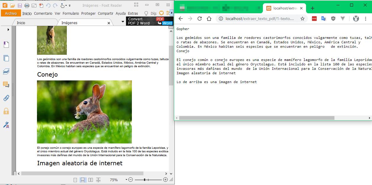 Extraer únicamente texto de PDF con PHP