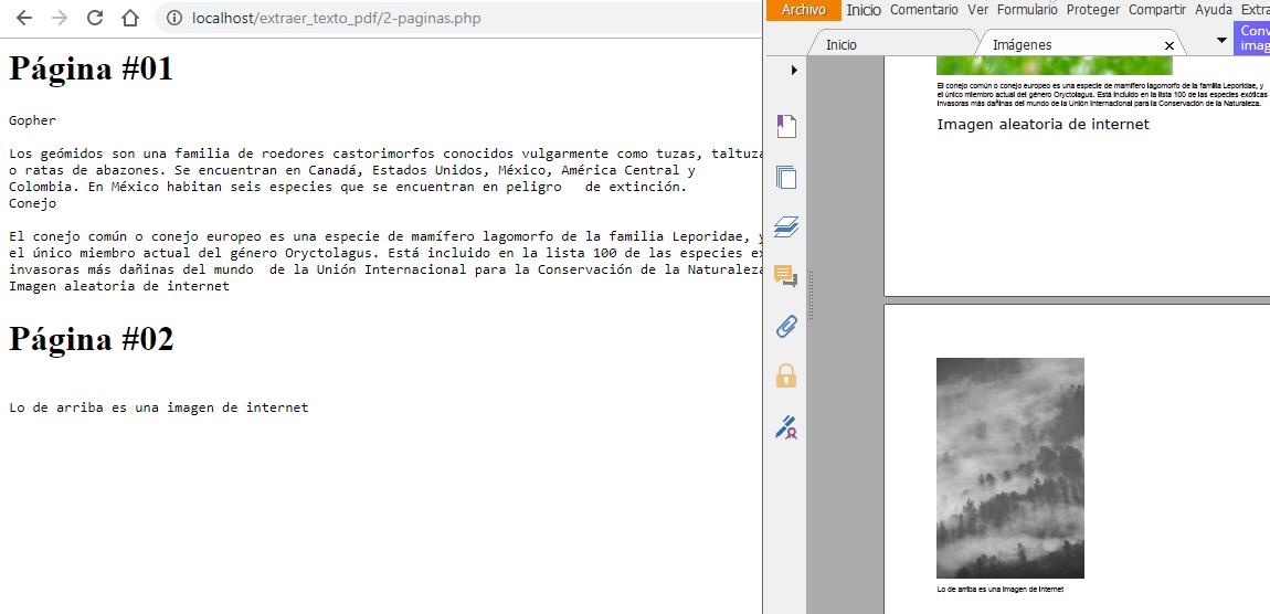 Extraer texto por página