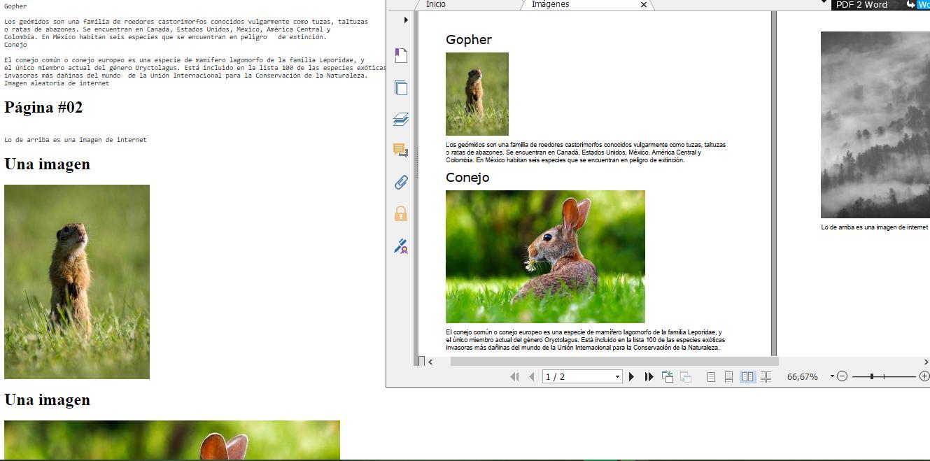 Imágenes y texto de PDF con PHP