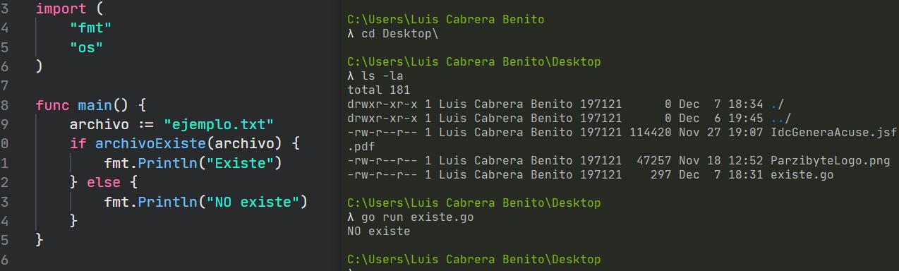 Comprobar si archivo existe con Go