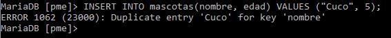 Error de duplicidad
