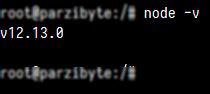 Versión de Node.js es 12