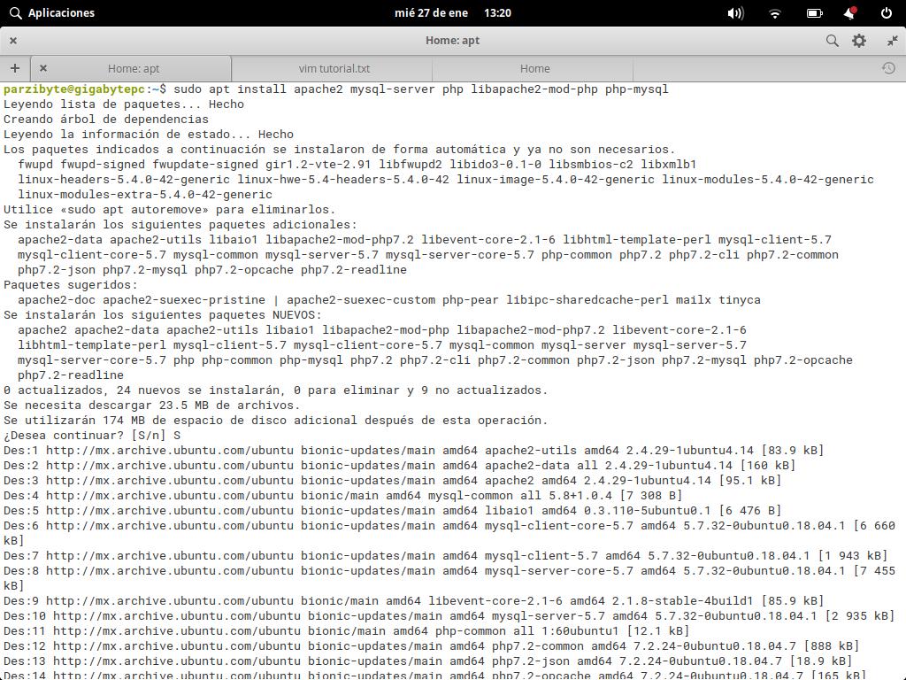 Instalando PHP, Apache y MySQL (LAMP) en Linux
