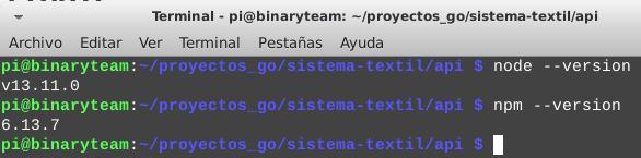 Mostrar versión de node y npm en Raspberry pi