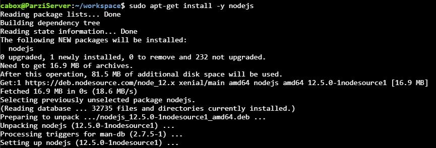 Instalando paquetes de Node.js y NPM en el sistema