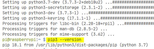 Comprobando versión de pip en Raspbian usando Raspberry Pi 4