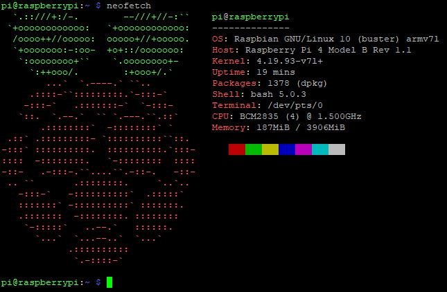 Ejecutar neofetch en Raspbian (montado sobre Raspberry Pi 4)