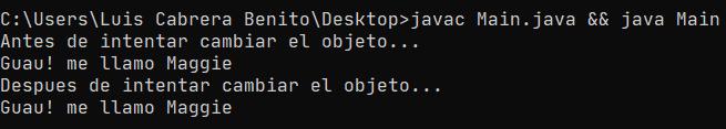 Objetos pasados por valor si se crea una nueva instancia - Java