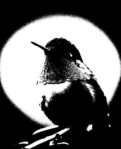 Imagen convertida a blanco y negro sin mejorar