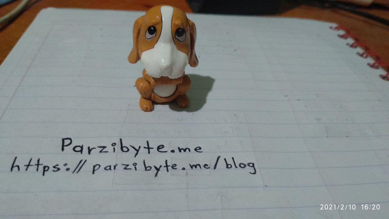 Foto de perro de juguete en alta resolución