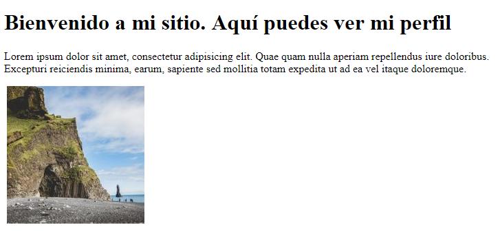 Página trampa para ejemplificar qué es un ataque CSRF