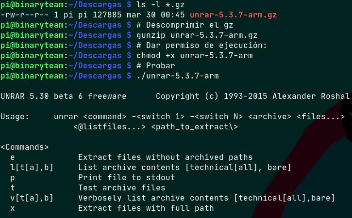 Usando RAR arm en Raspberry Pi