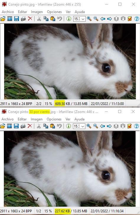 Reducir tamaño de imagen con JavaScript - Antes y después, al poner el 30 % de calidad