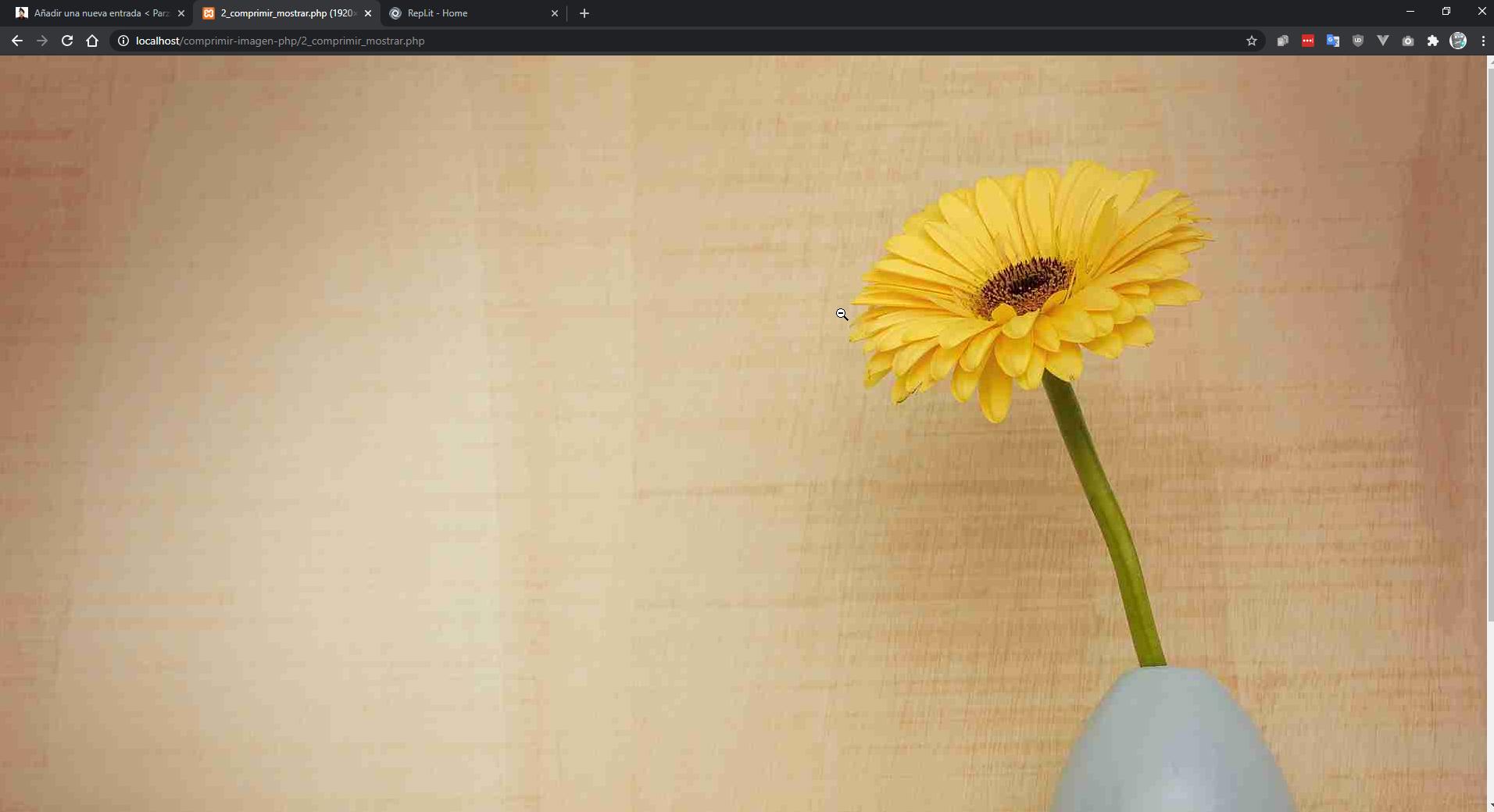 Reducir tamaño de imagen con PHP - Ejemplo de imagen