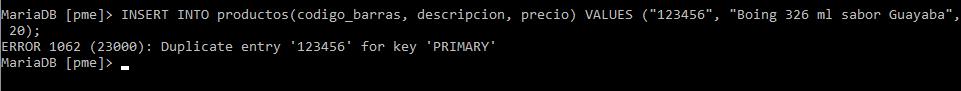 Error de clave duplicada al insertar registro repetido