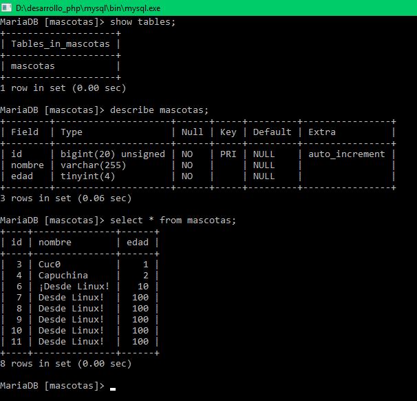 Base de datos desde CLI