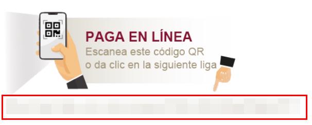 Pagar en línea