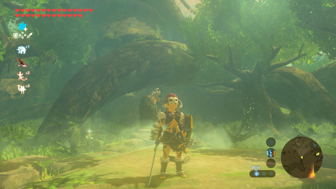 Zelda BotW - Estado de Link
