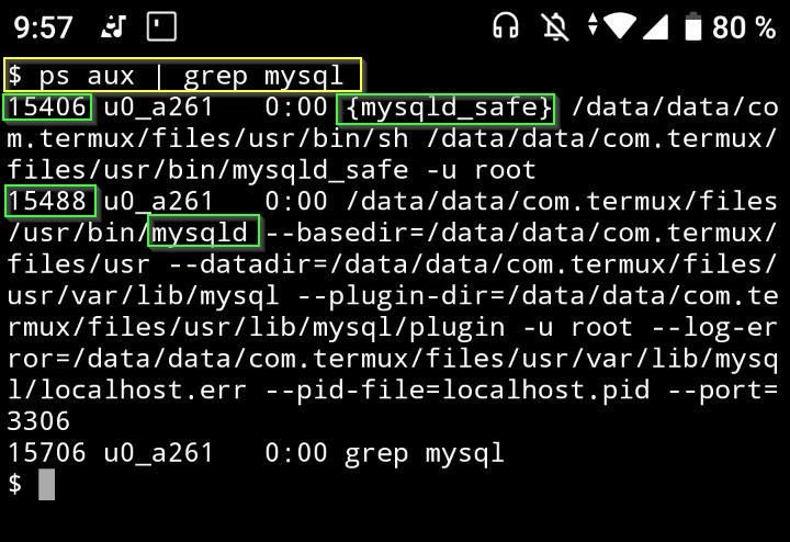 Listar procesos de MySQL MariaDB en Android