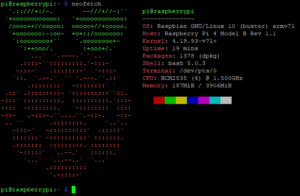 Ejecutar neofetch en Raspbian (montado sobre Raspberry Pi 4)