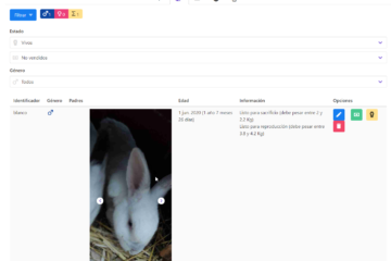 Listado de conejos - Mostrar fotos, información y filtrar