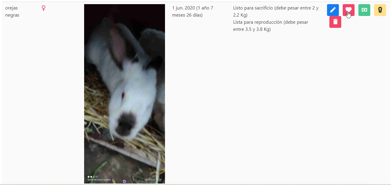 Reproducción de conejos - App para control de reproducción en cunicultura